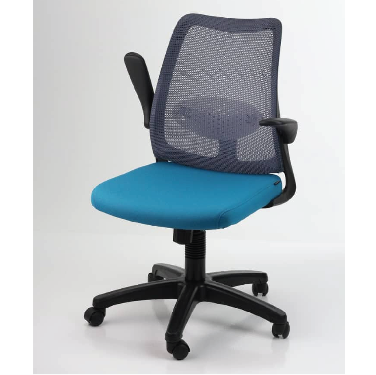 DOLPH ECO Low Back Office Chair (K)