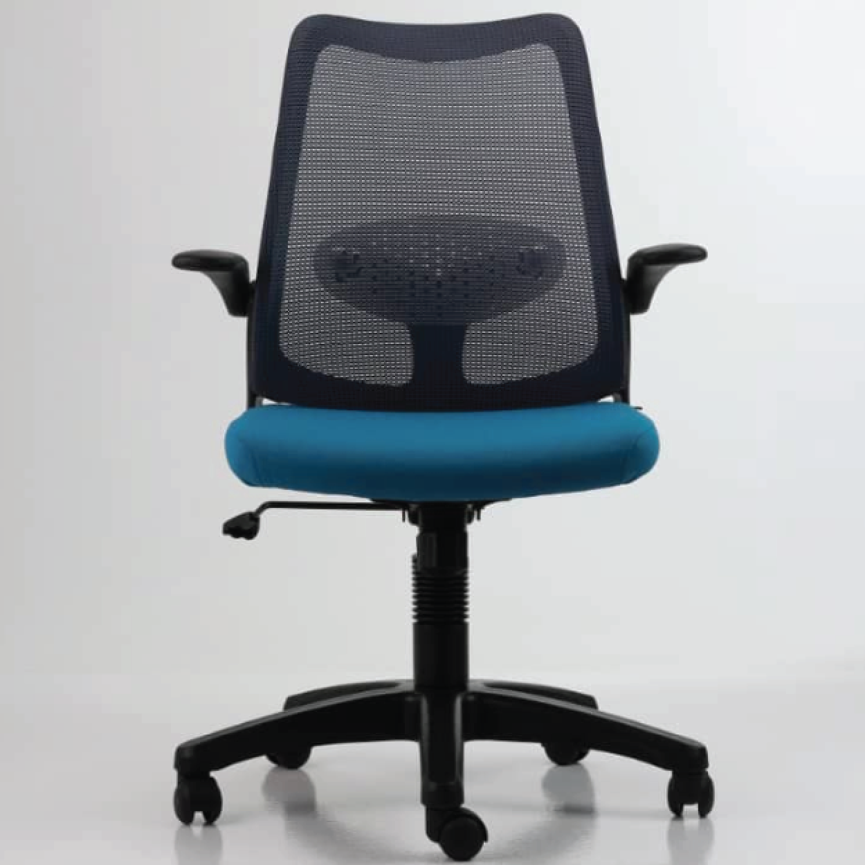 DOLPH ECO Low Back Office Chair (K)