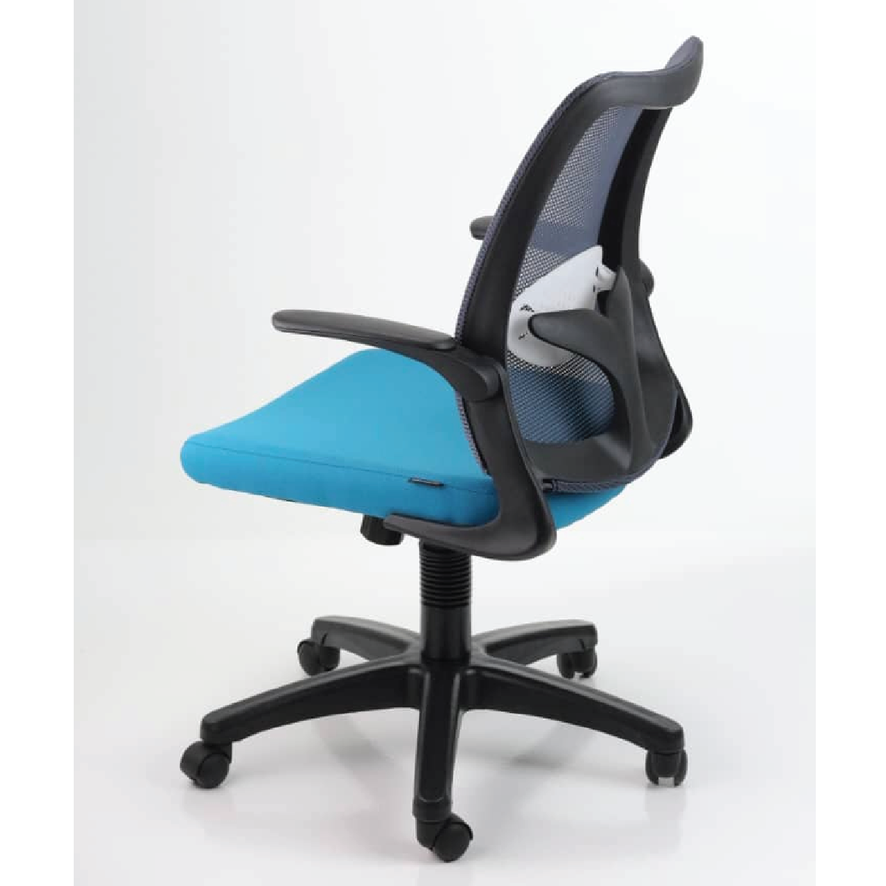 DOLPH ECO Low Back Office Chair (K)