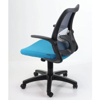 DOLPH ECO Low Back Office Chair (K)