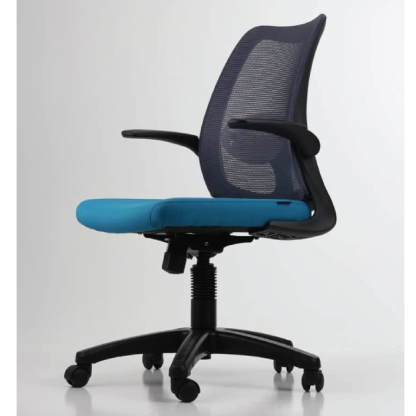 DOLPH ECO Low Back Office Chair (K)
