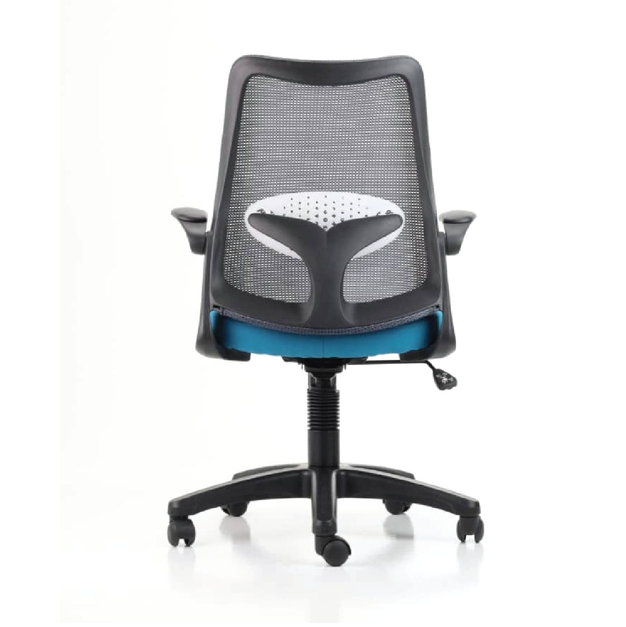 DOLPH ECO Low Back Office Chair (K)