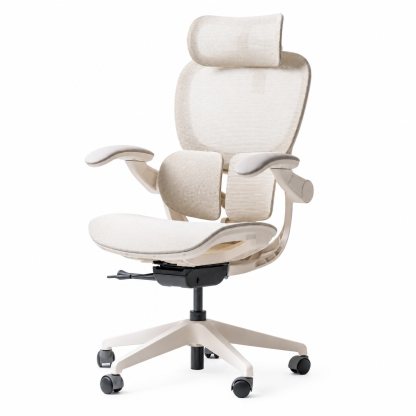 RISE High Back Ergonomic Office Chair