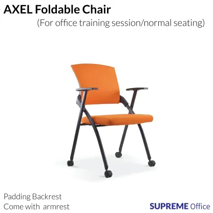 Axel Training Chair with Padding Backrest (With Armrest)