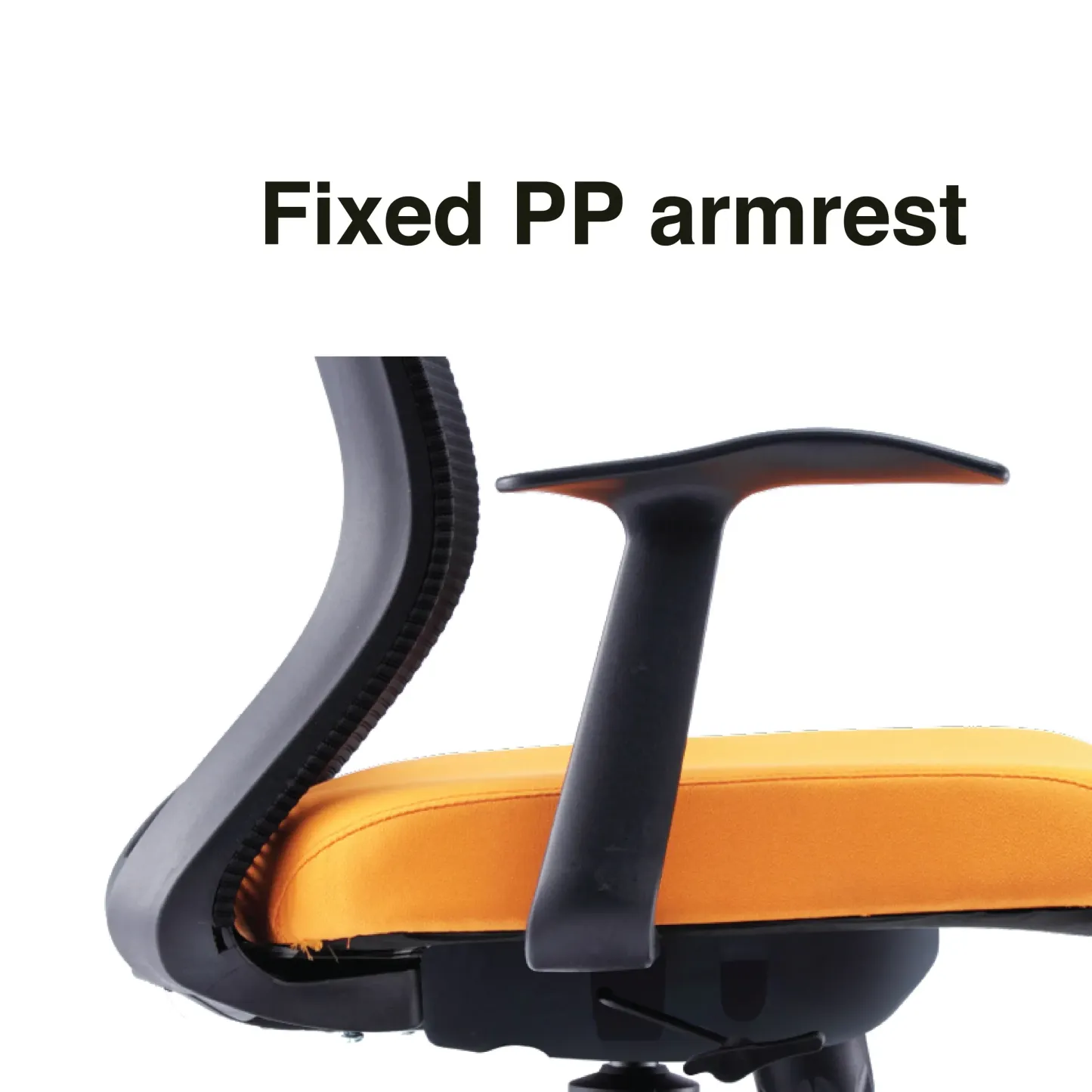 GOLI High Back Chair