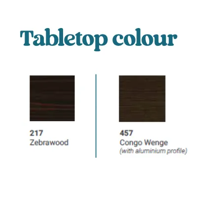 Director Work Desk with Aluminum Profile Lining