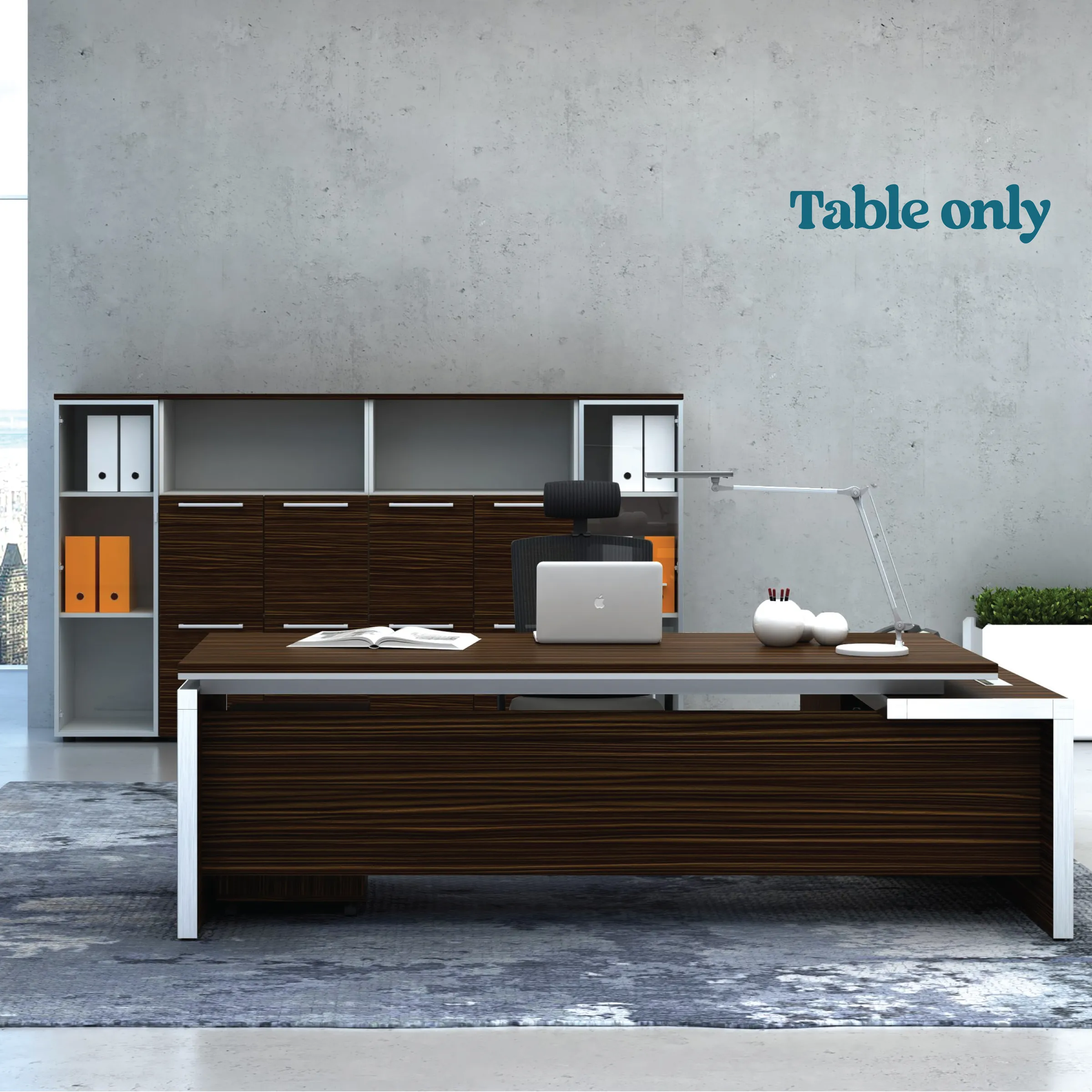 Director Work Desk with Aluminum Profile Lining