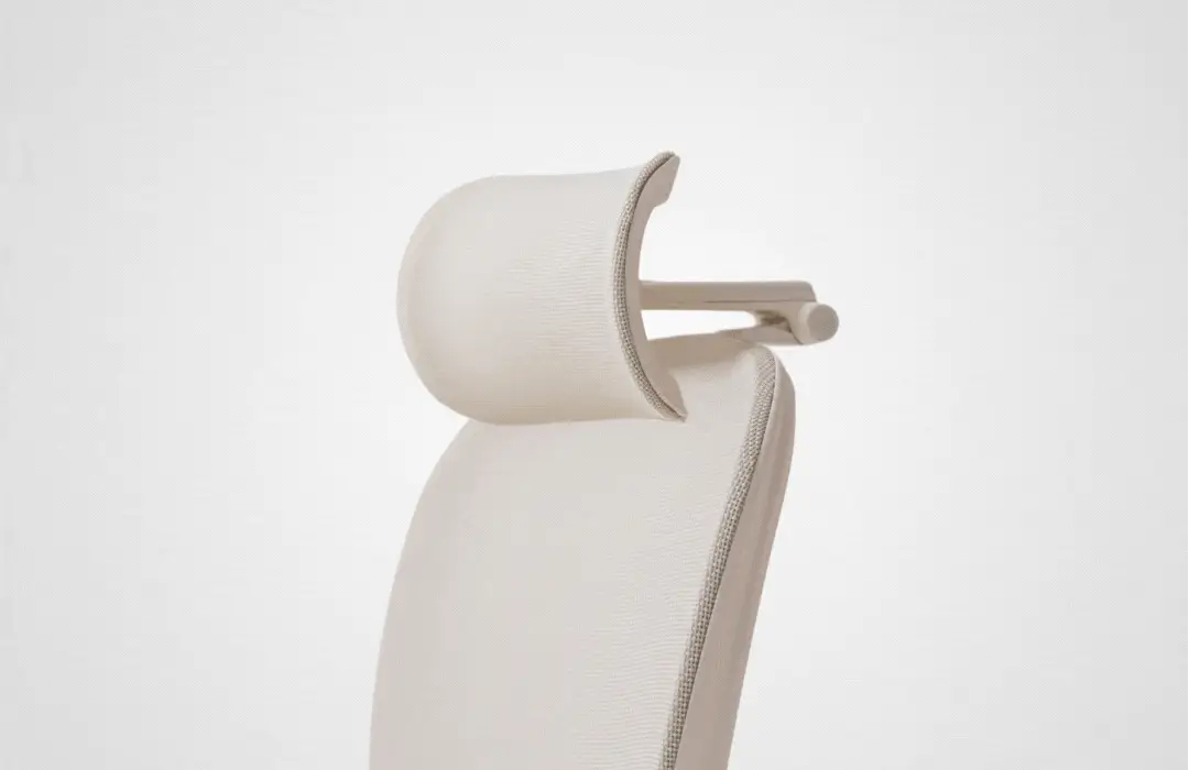 RISE High Back Ergonomic Office Chair