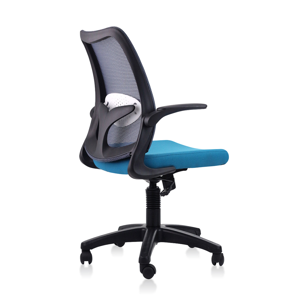 DOLPH ECO Low Back Office Chair