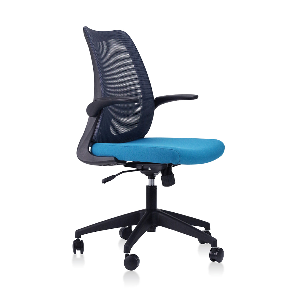 DOLPH Low Back Office Chair