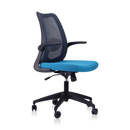 DOLPH Low Back Office Chair