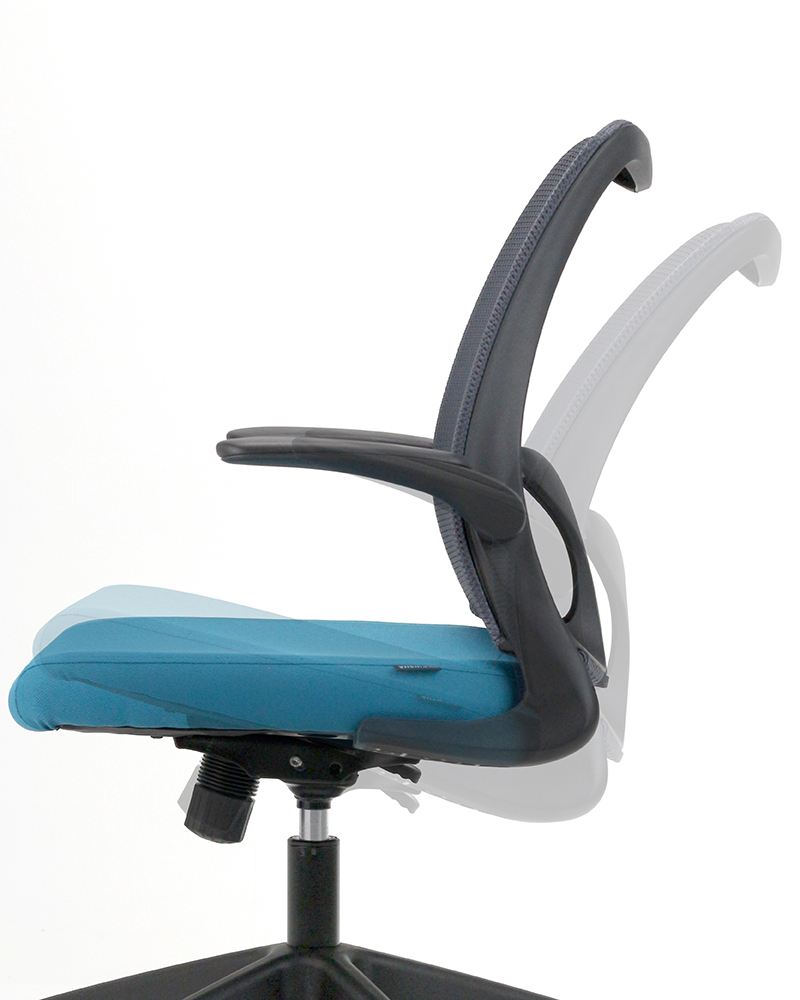 DOLPH Low Back Office Chair
