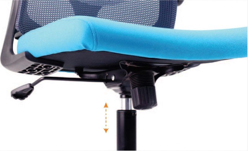 DOLPH Low Back Office Chair