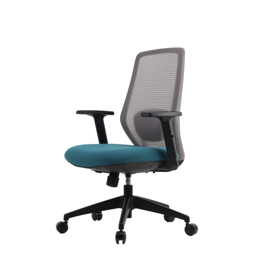 PARA2 Low Back Office Chair