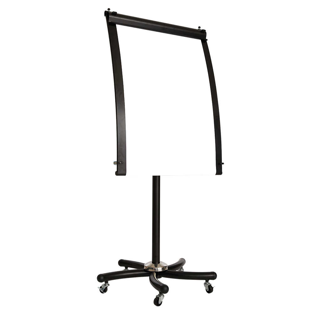 Professional Daily Flip Chart