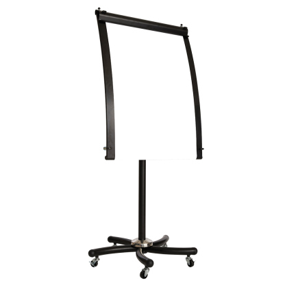 Professional Daily Flip Chart