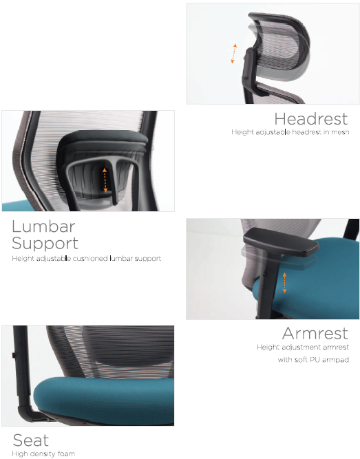 PARA2 High Back Office Chair