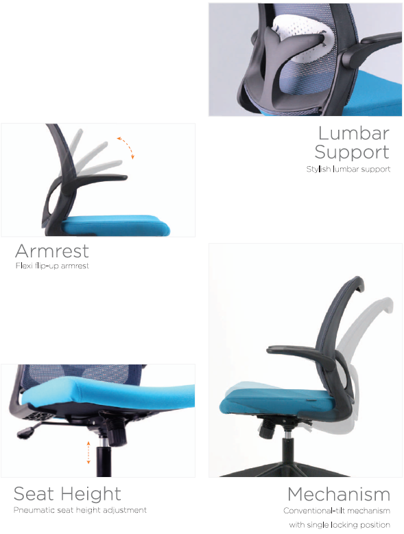 DOLPH Low Back Office Chair