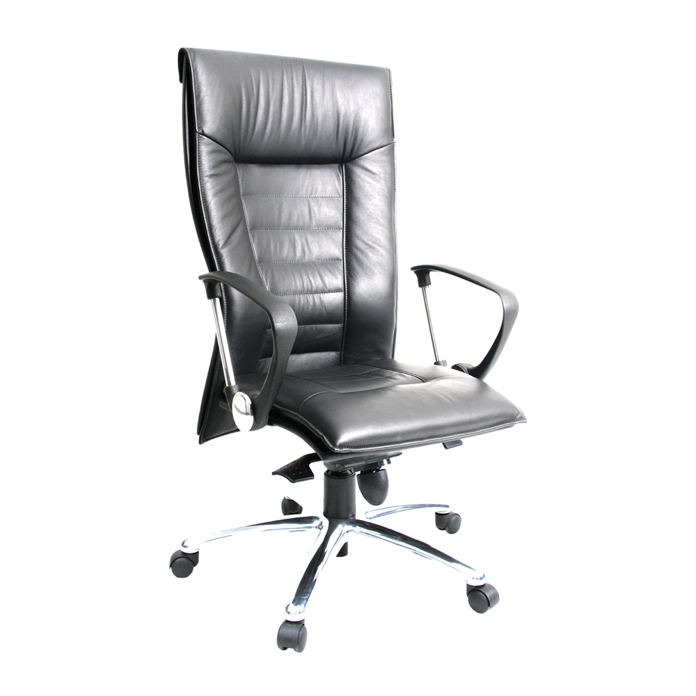 TROJANII High Back Office Chair (K)