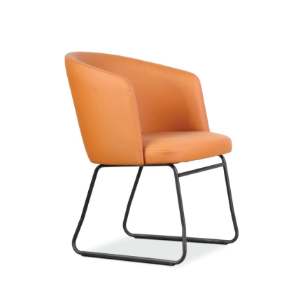 ELLA 1S Lounge Chair / Low Back Office Chair (SLED BASE)