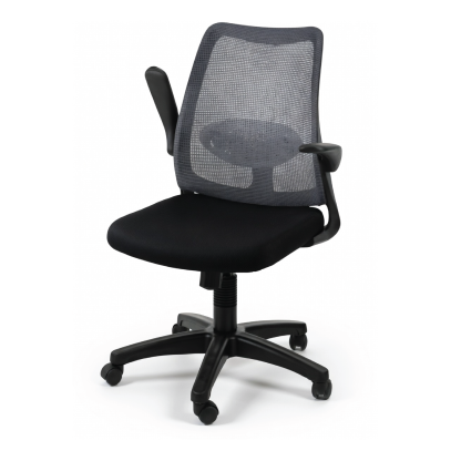 DOLPH ECO Low Back Office Chair (K)