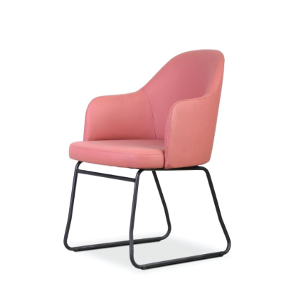 ELLA 2S Lounge Chair (Sled Base)