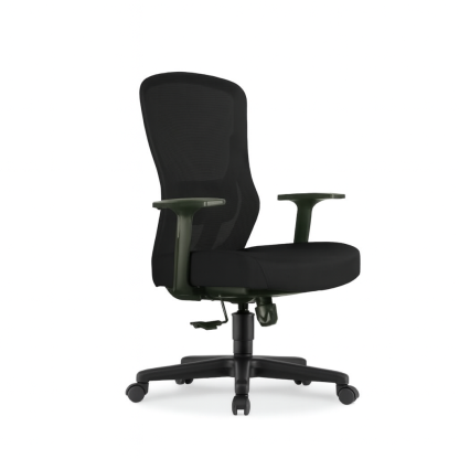 ANA Mesh Medium Back Chair