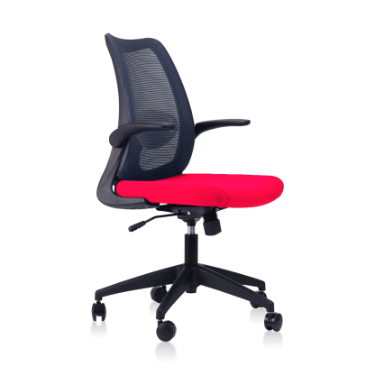 DOLPH Low Back Office Chair (K)