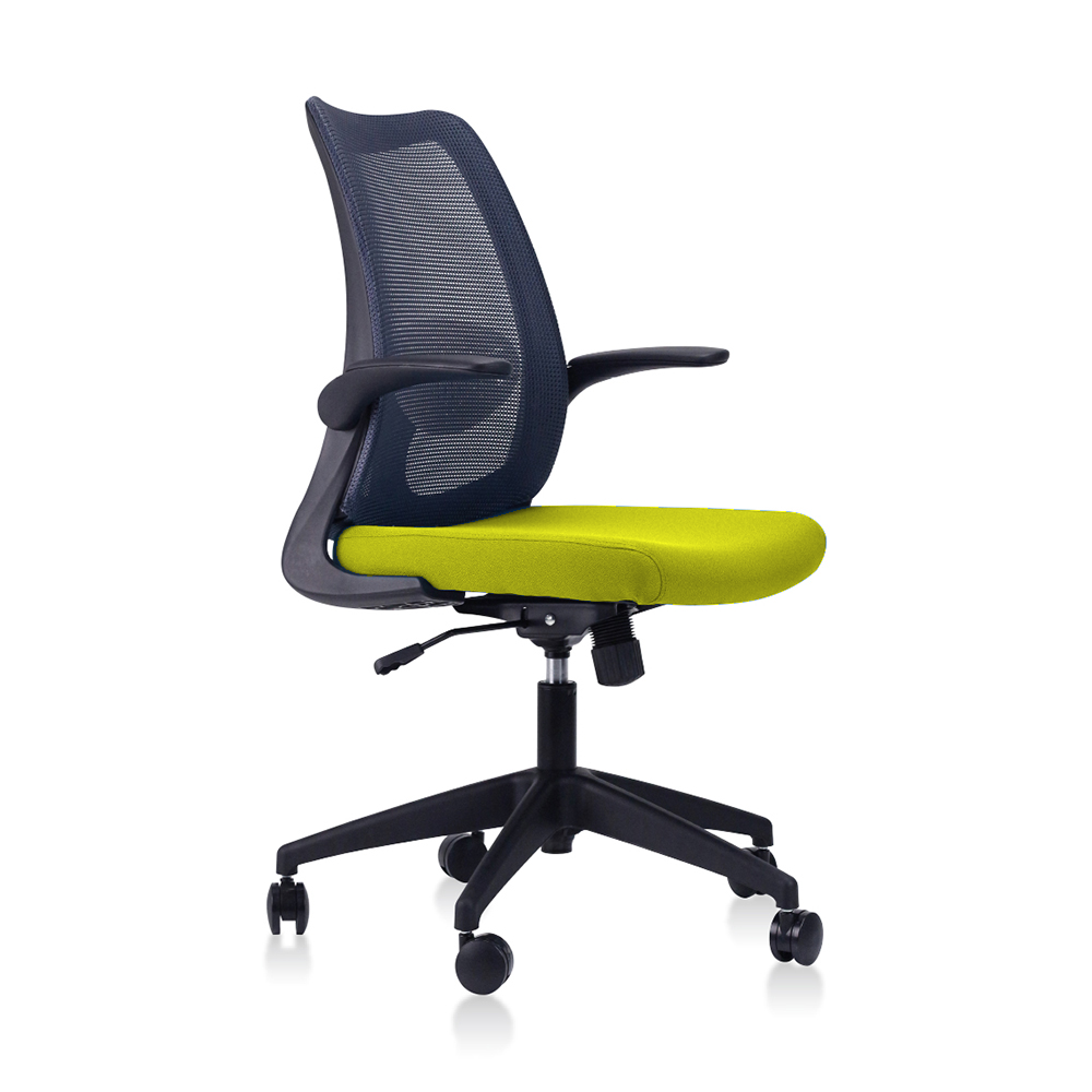 DOLPH Low Back Office Chair (K)