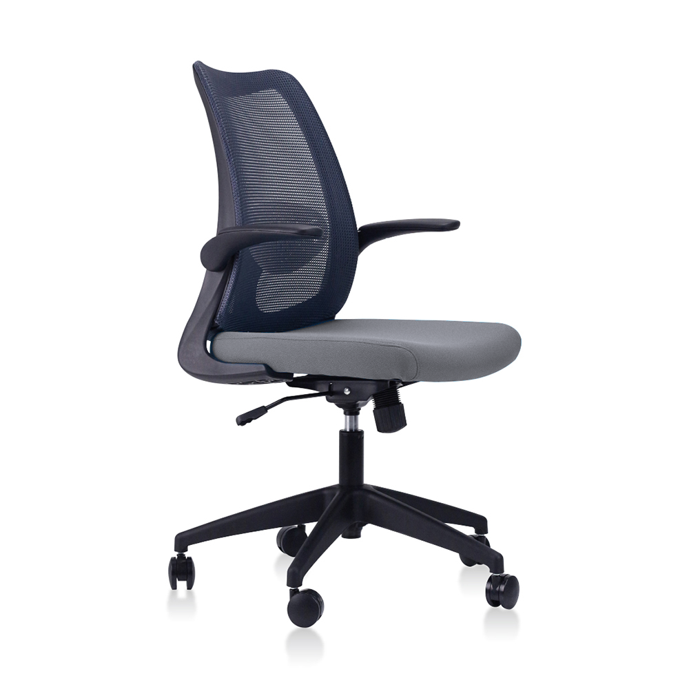DOLPH Low Back Office Chair (K)