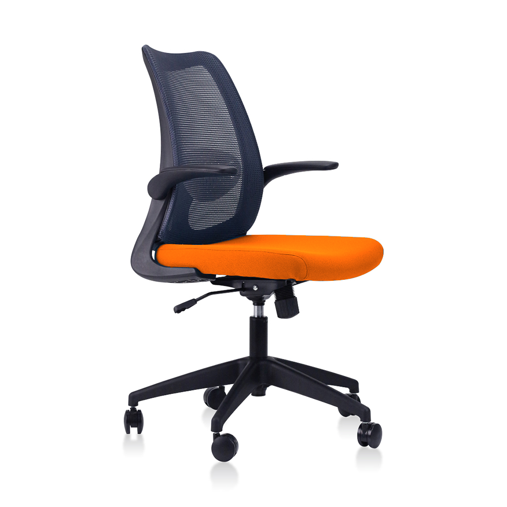 DOLPH Low Back Office Chair (K)