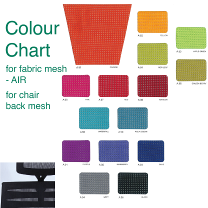 AXE 2 Foldable Training Chair with Armrest (mesh backrest).