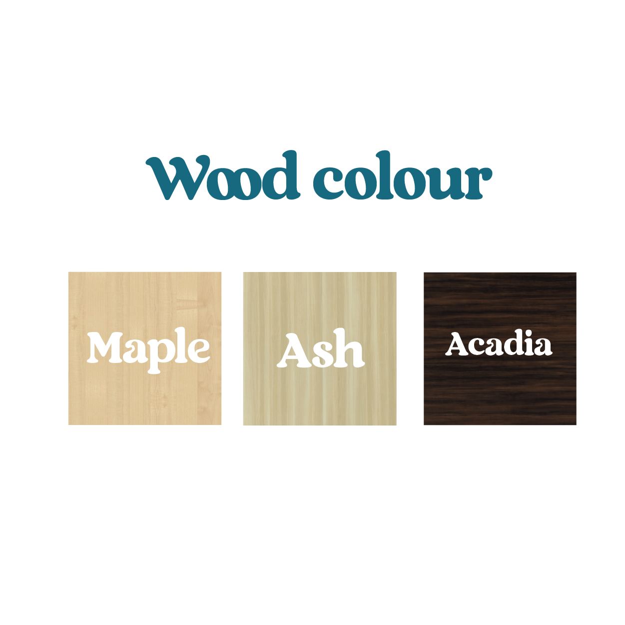 Executive Desk SQ with metal modesty Panel