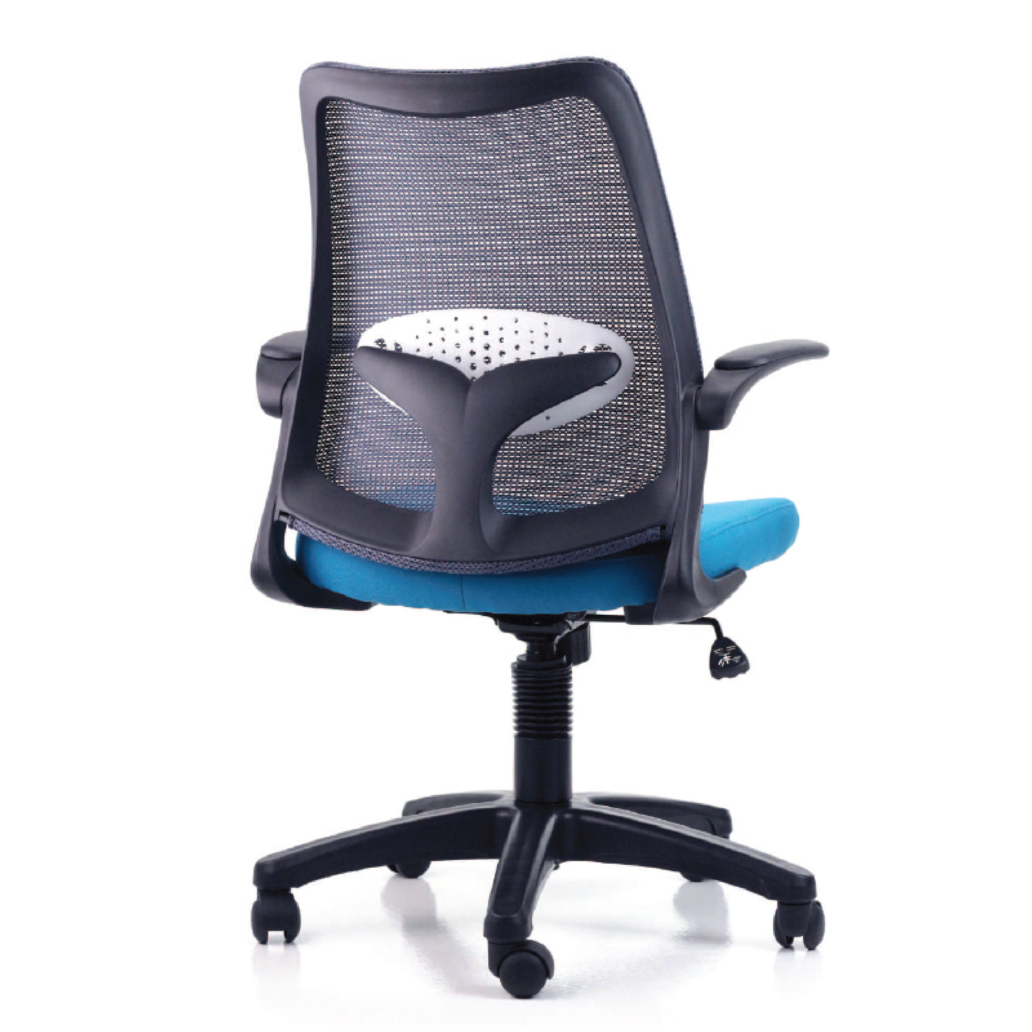 DOLPH ECO Low Back Office Chair