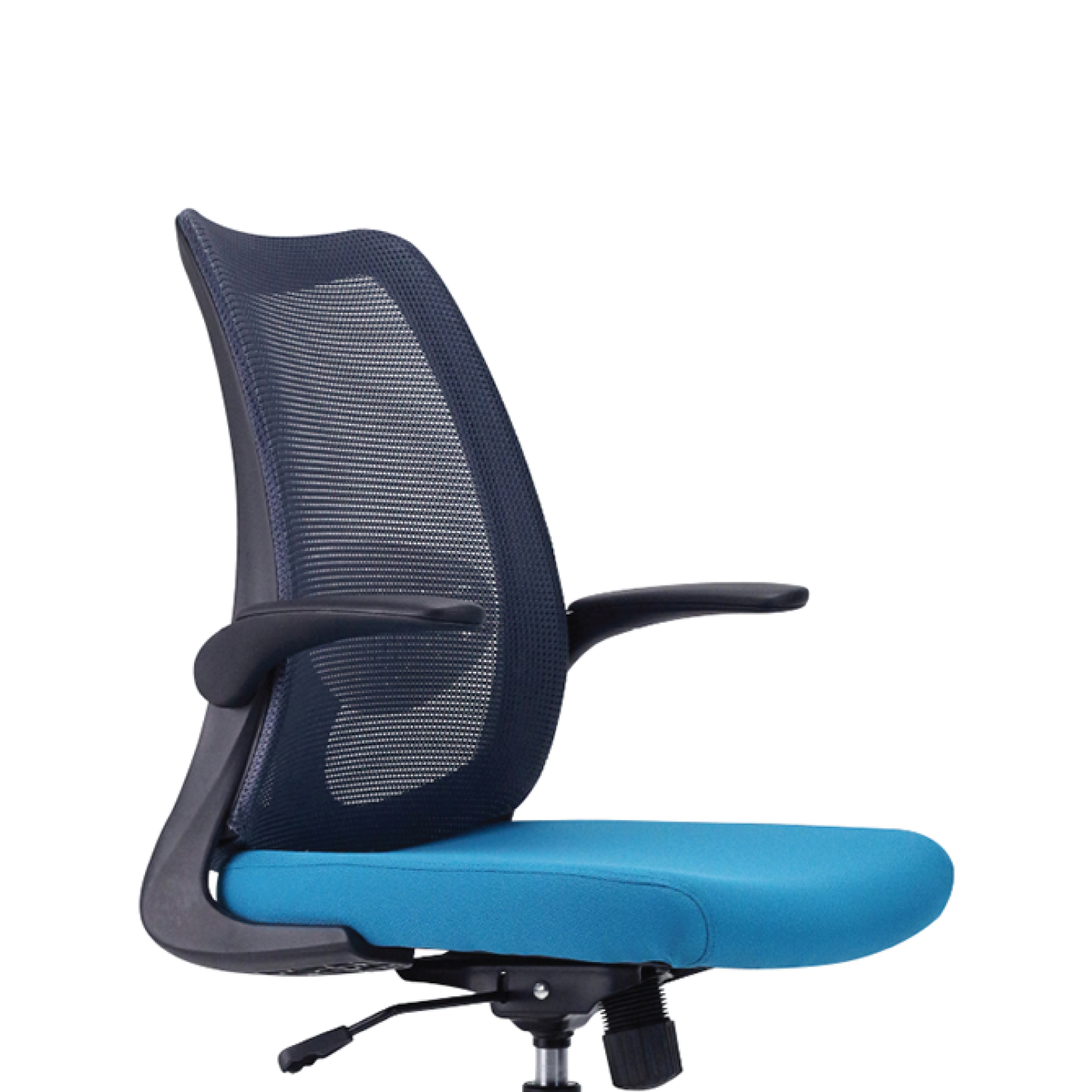 DOLPH ECO Low Back Office Chair
