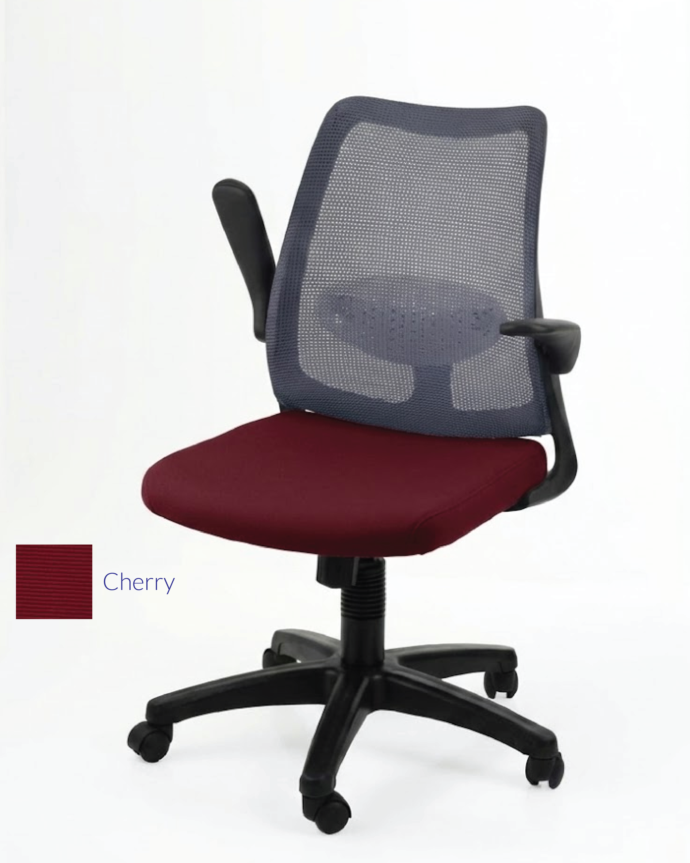 DOLPH ECO Low Back Office Chair (K)