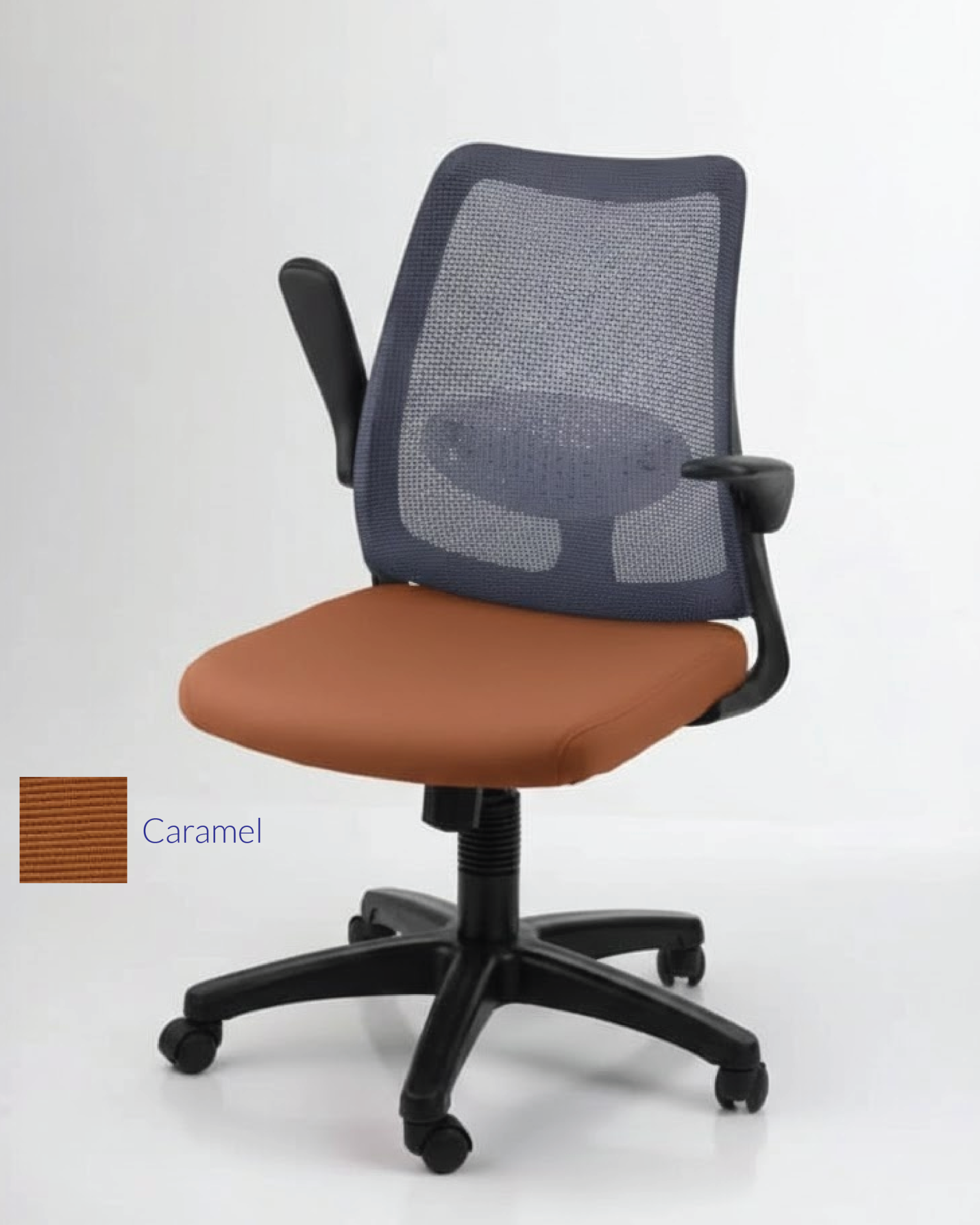 DOLPH ECO Low Back Office Chair (K)
