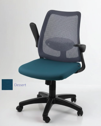 DOLPH ECO Low Back Office Chair (K)