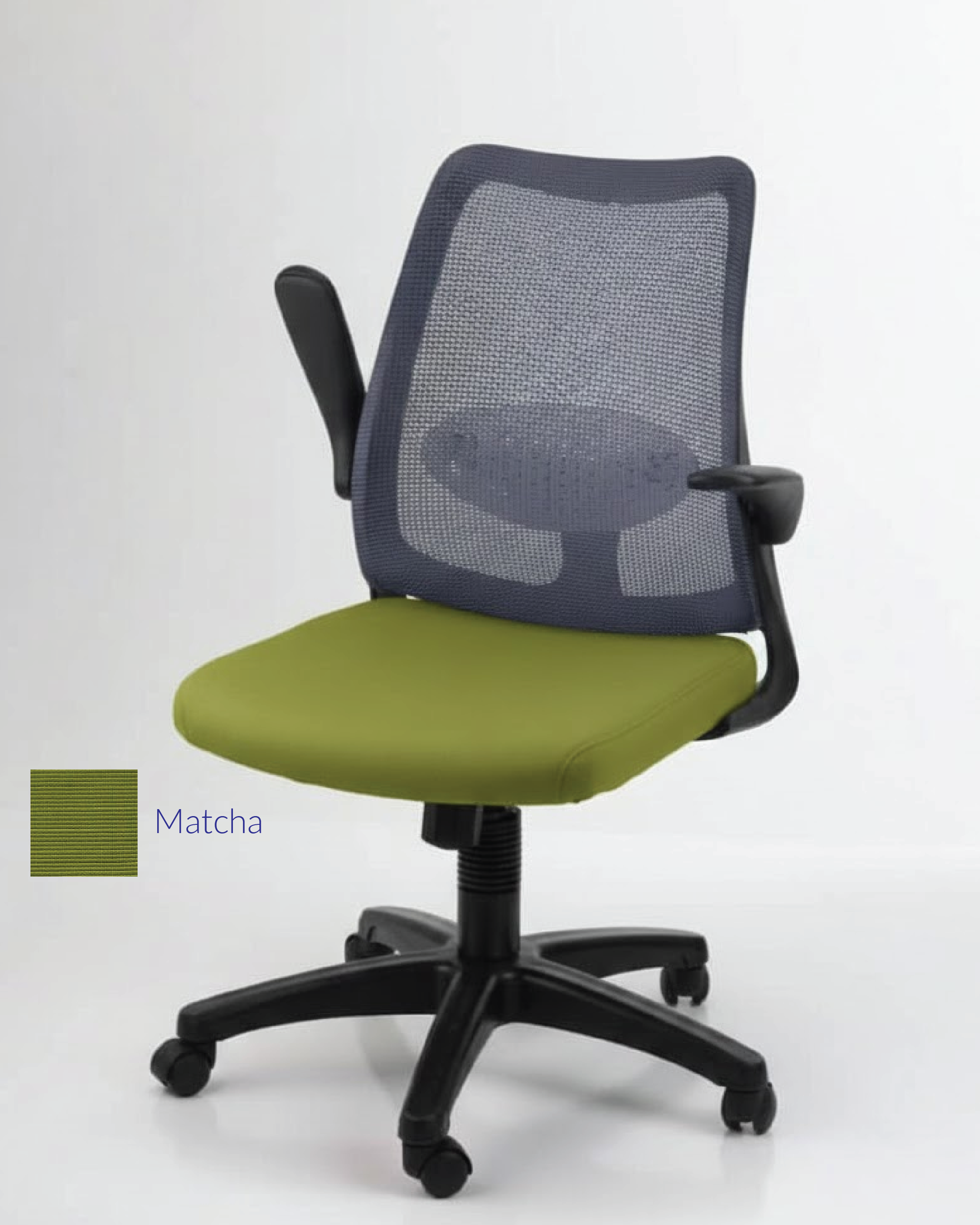 DOLPH ECO Low Back Office Chair (K)