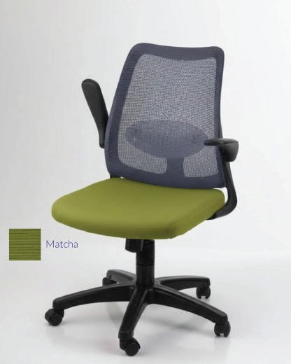 DOLPH ECO Low Back Office Chair (K)