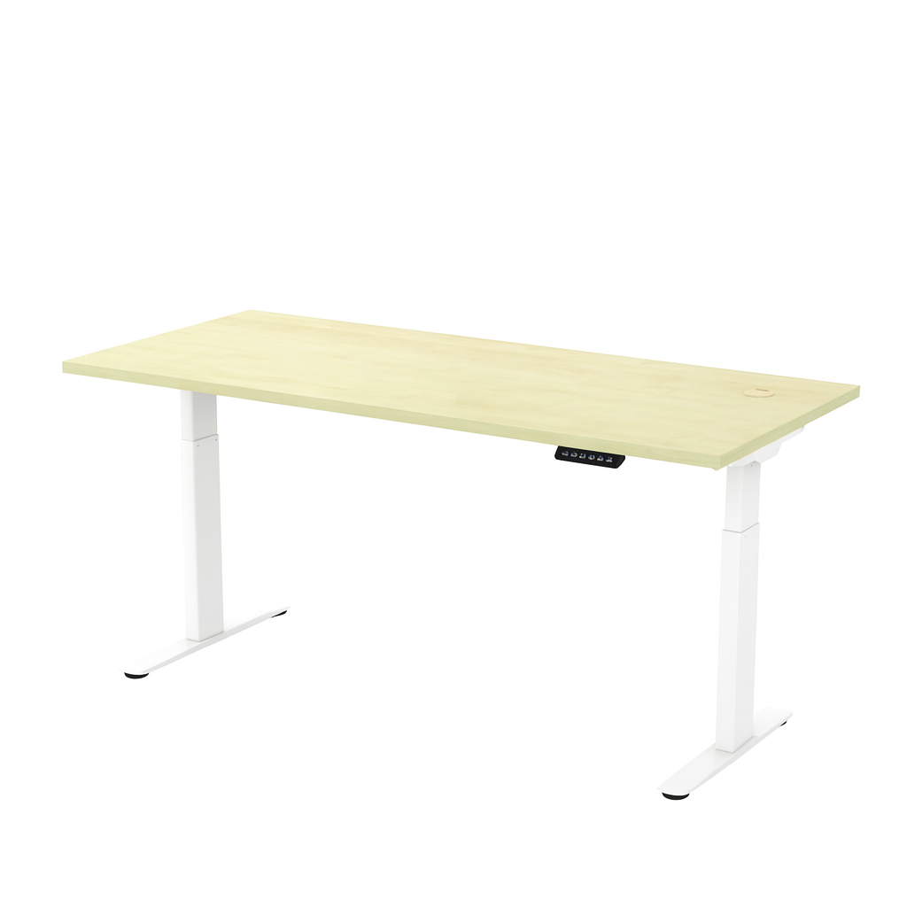 Standing Desk (Height Adjustable Table)