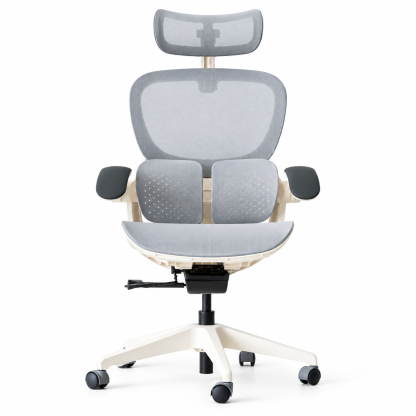 RISE High Back Ergonomic Office Chair