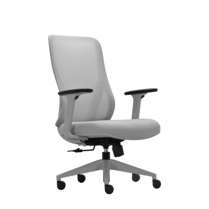 LUMINA High Back Office Chair (PRE ORDER UNIT: MINIMUM ORDER OF 10 UNITS)