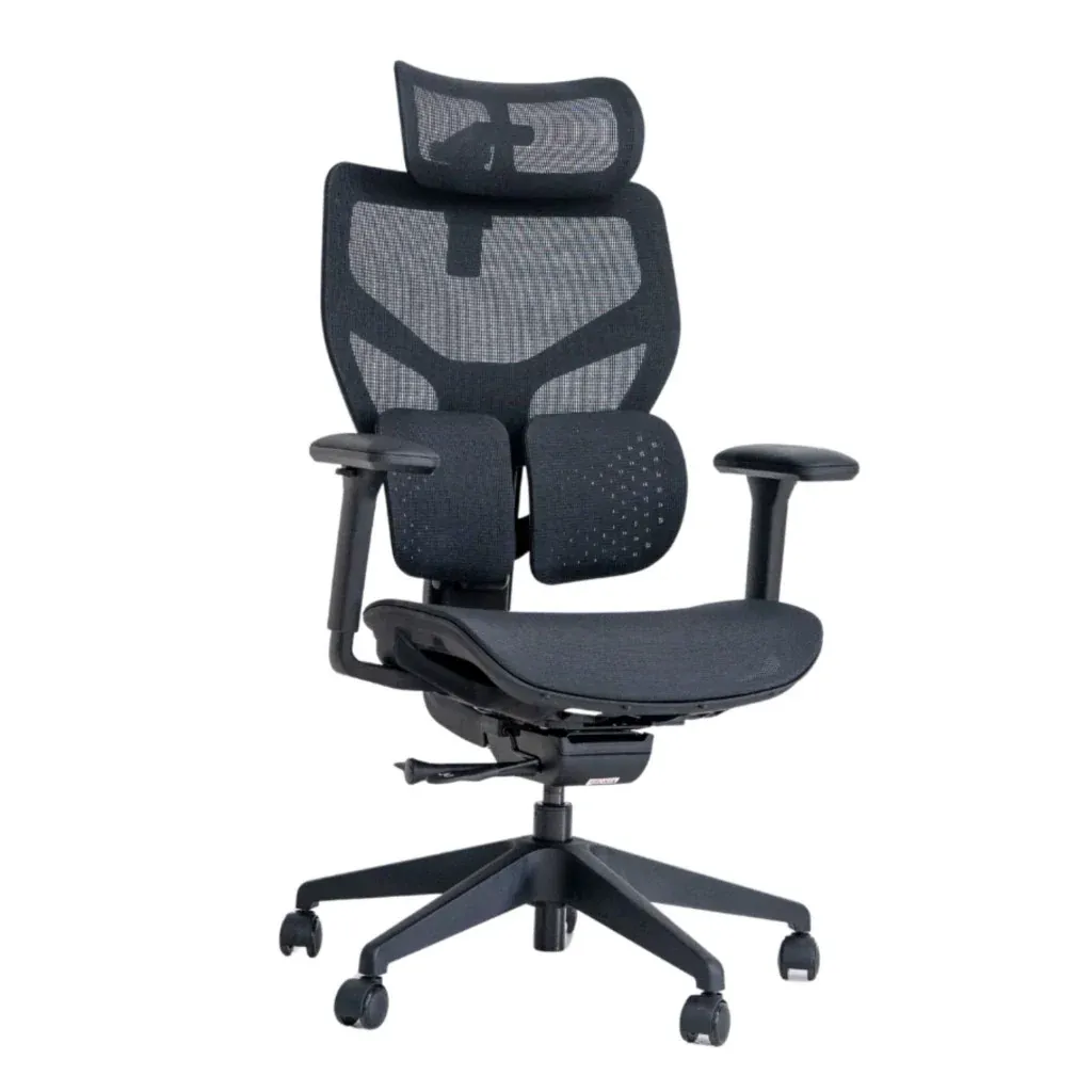 ACE2 High Back Ergonomic Chair