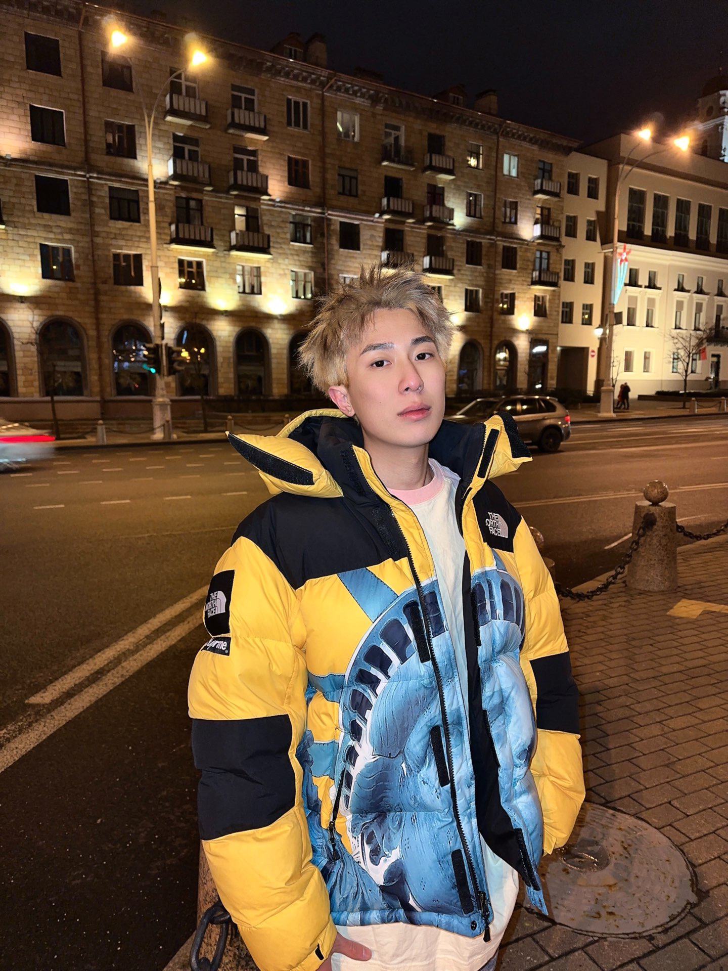 【希少】Supreme®/The North Face® Statue of Liberty Baltoro Jacket