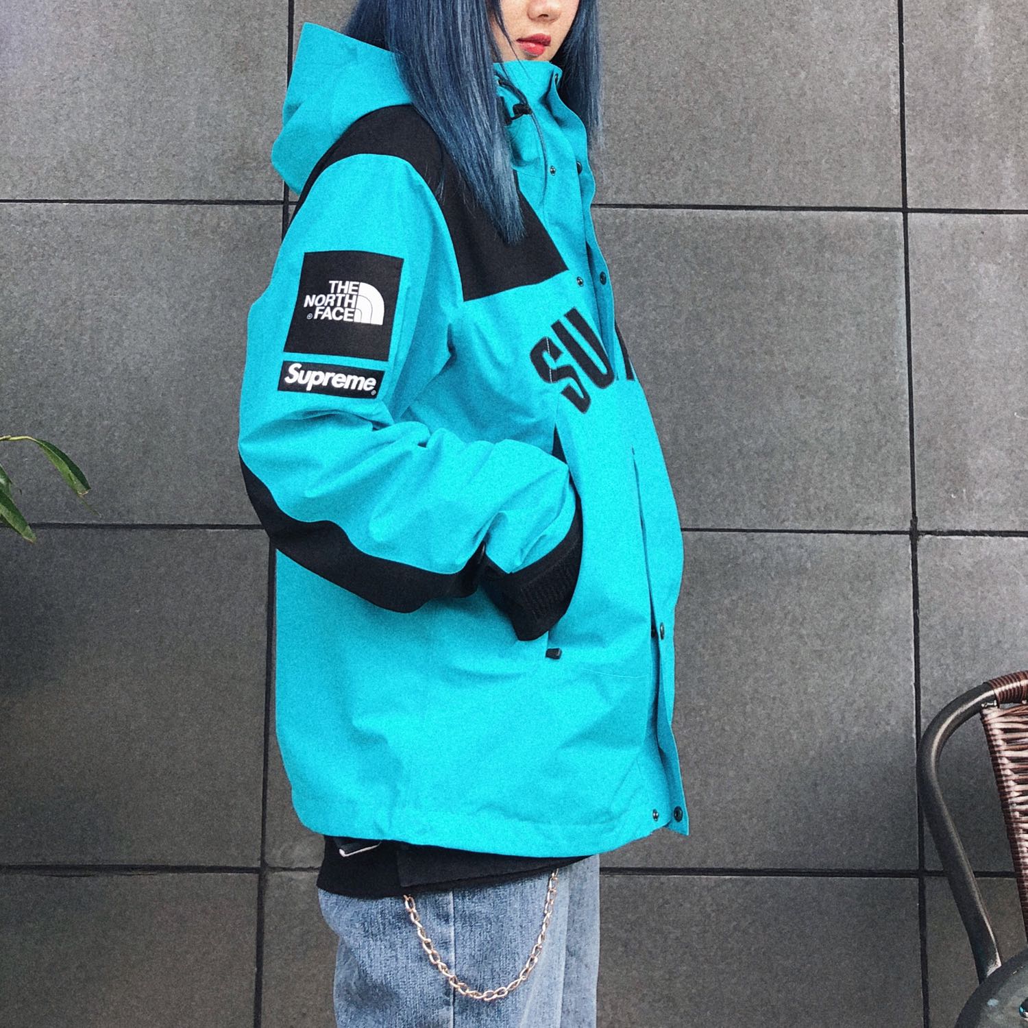 Supreme®/The North Face® Arc Logo Mountain Parka
