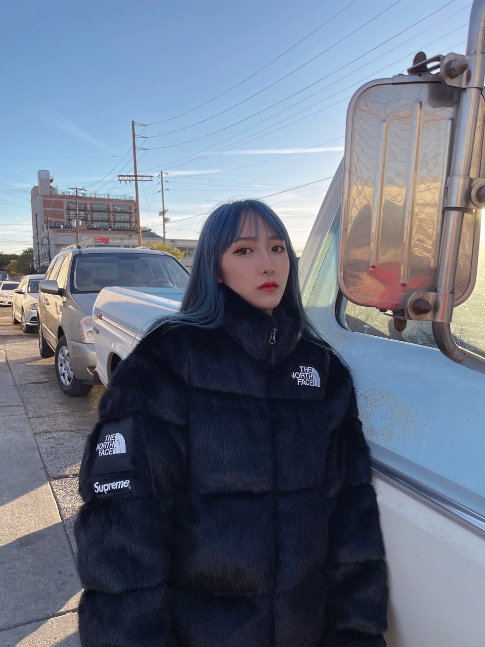 Supreme®/The North Face® Faux Fur Nuptse Jacket