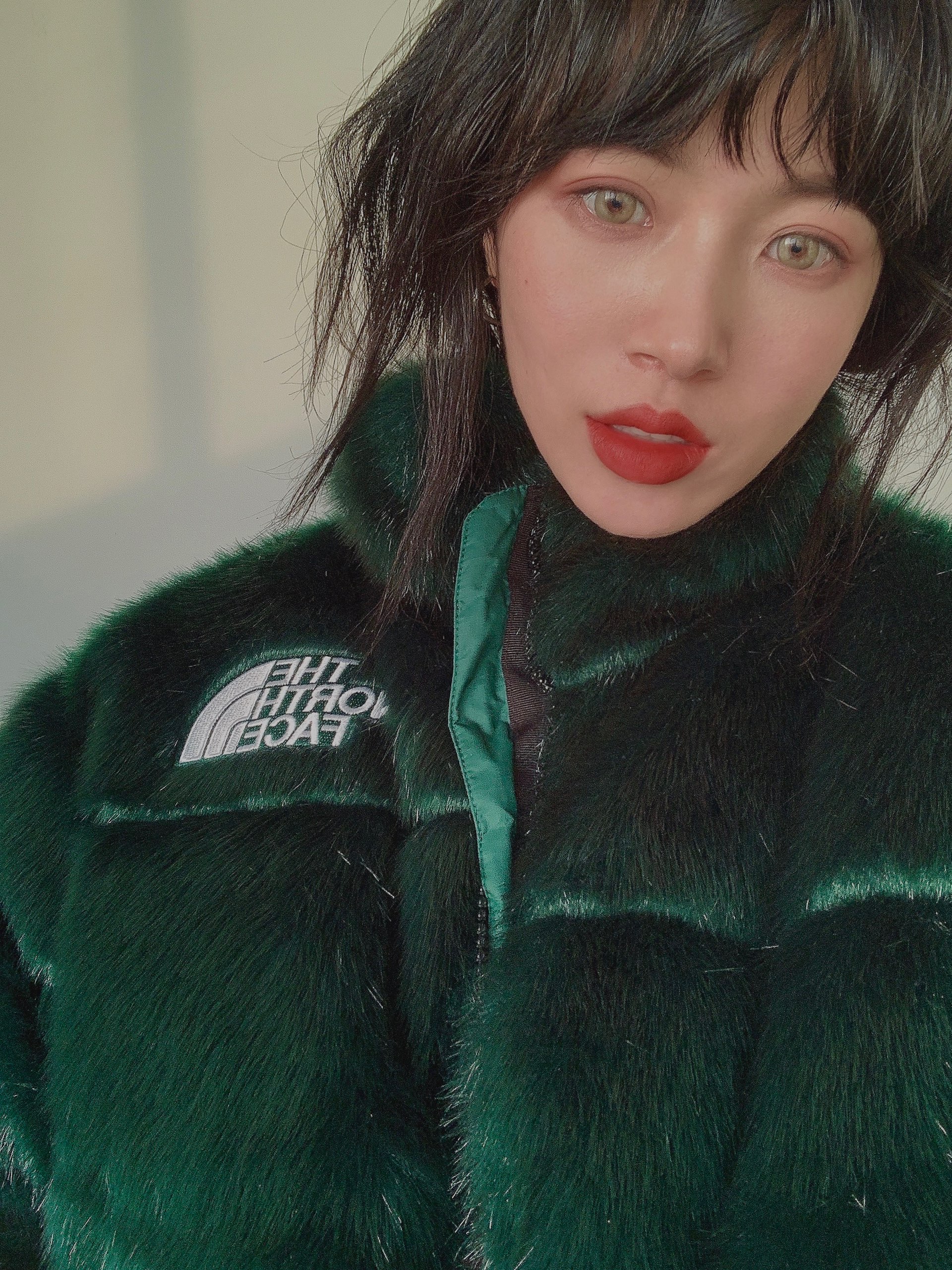 Supreme®/The North Face® Faux Fur Nuptse Jacket