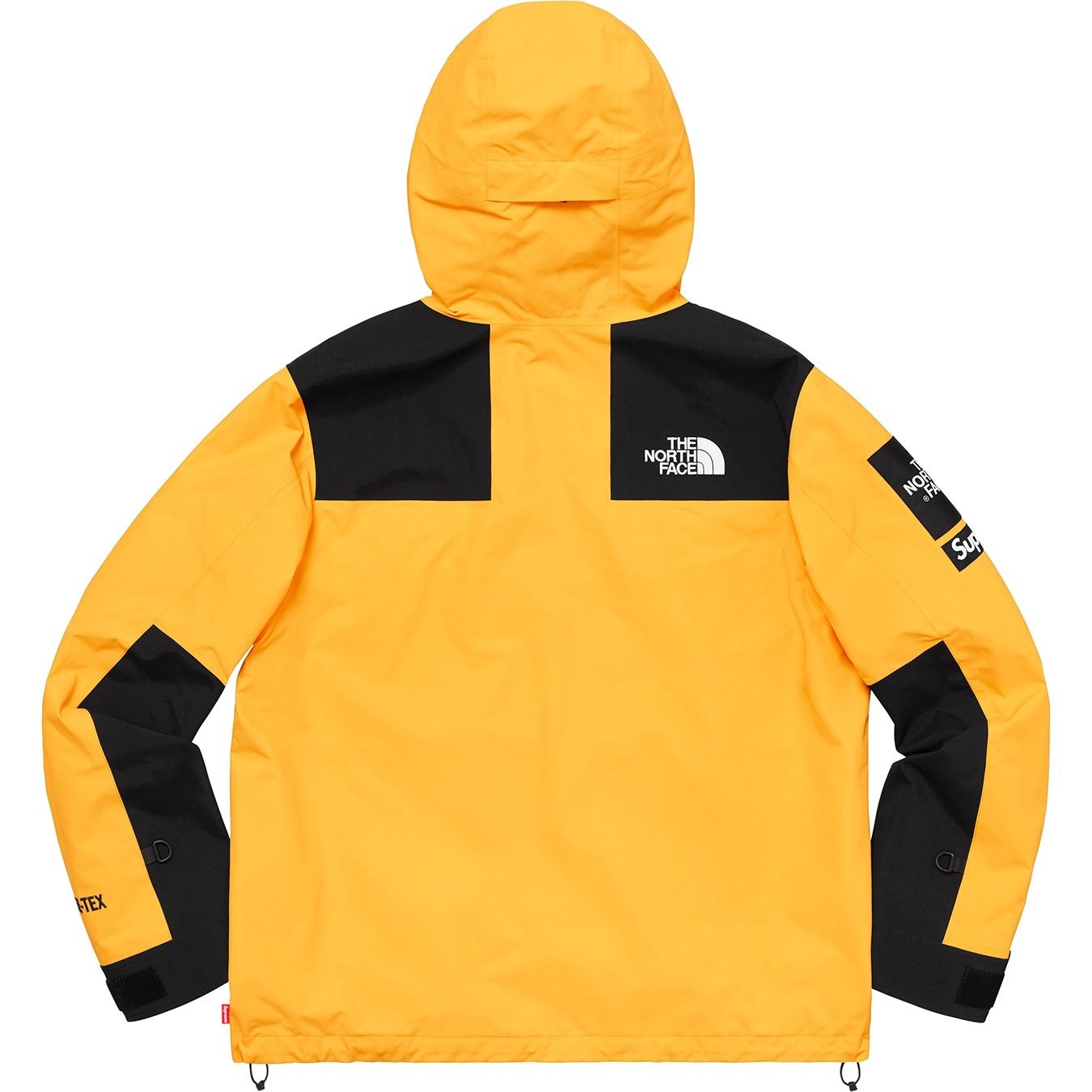 Supreme®/The North Face® Arc Logo Mountain Parka
