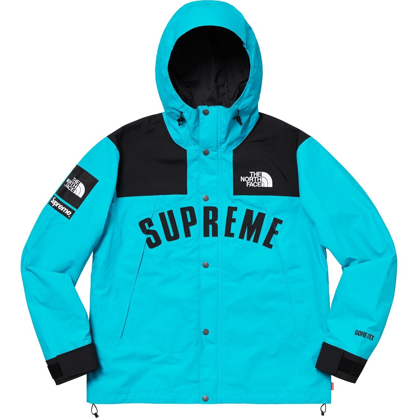 Supreme®/The North Face® Arc Logo Mountain Parka